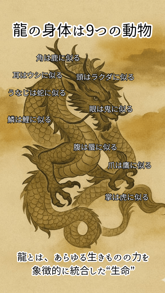 【龍の九似】龍は九種類の動物に似ているという中国の伝説を説明する画像