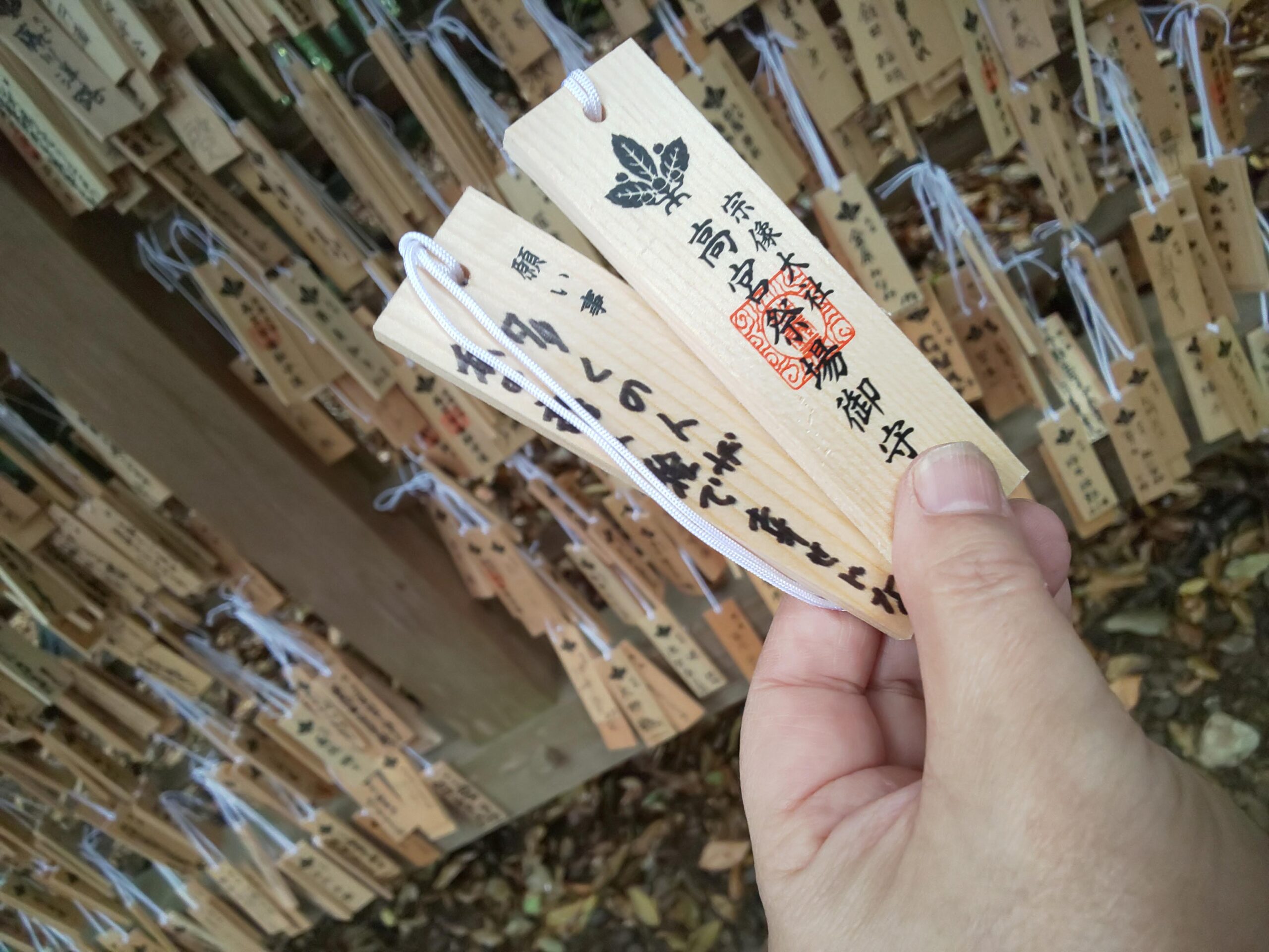 å®å倧瀟ã§ã®é¡ãäº