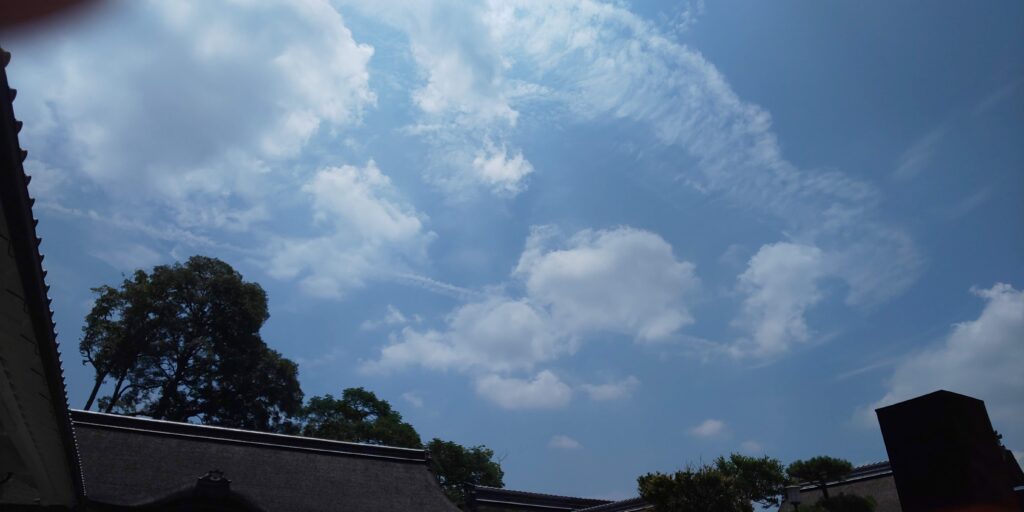 伏見大社の龍たち