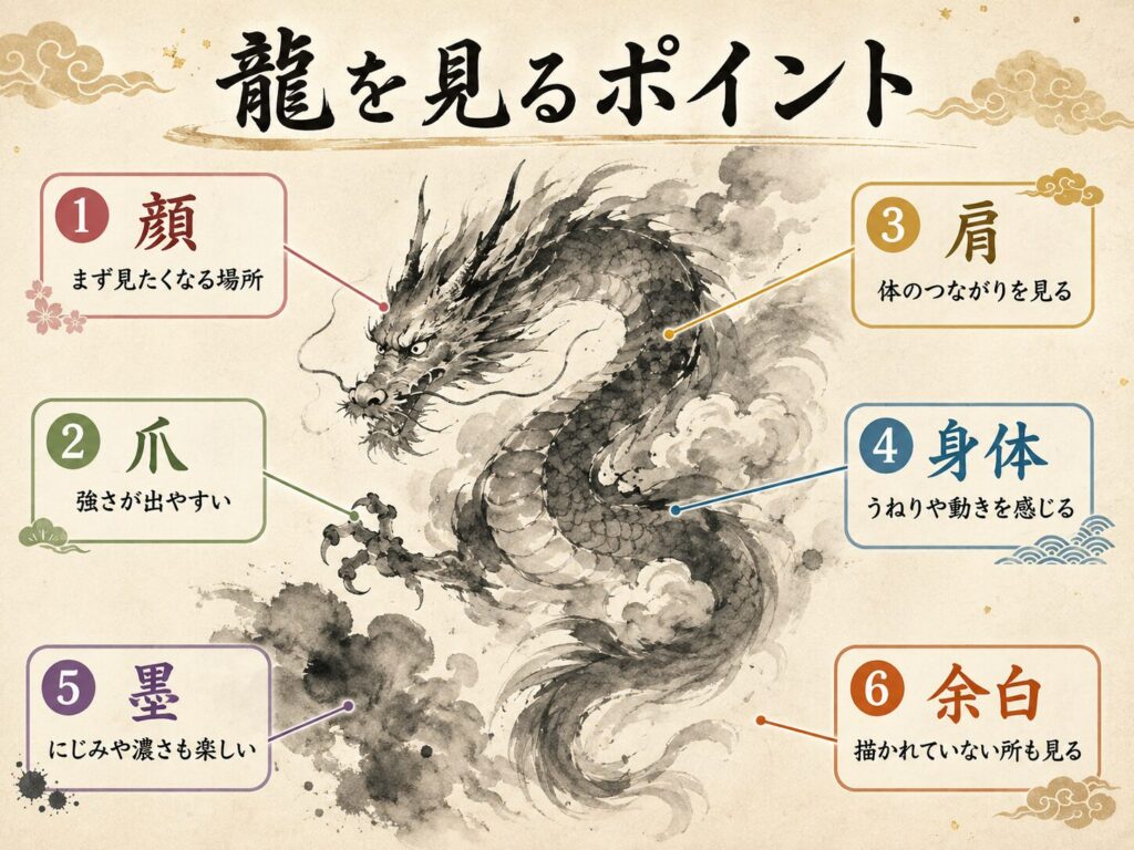 龍の絵を見るときのポイントとして、顔、爪、肩、身体、墨、余白の6か所を水墨画風の龍のイラストで示した図。