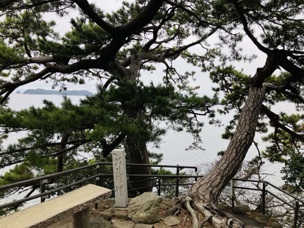 八百富神社 龍神岬 龍神の松