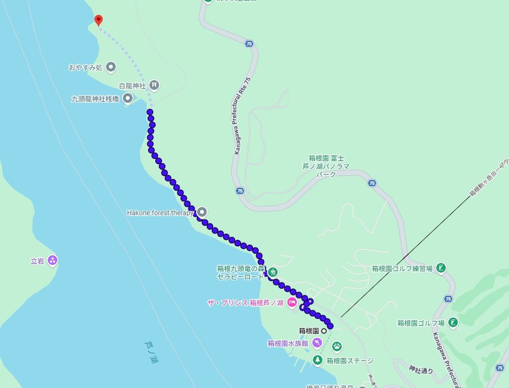 箱根園から九頭龍神社本宮までの徒歩ルートを示した地図