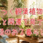 龍のつく観葉植物14選のアイキャッチ